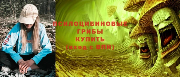 СК Каменск-Шахтинский