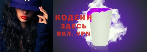 СК Каменск-Шахтинский