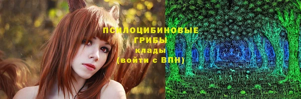трава Каменногорск