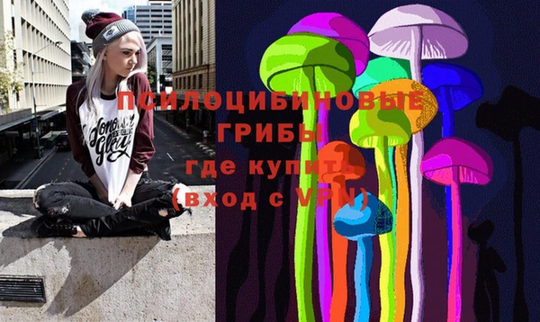 a pvp Каменка