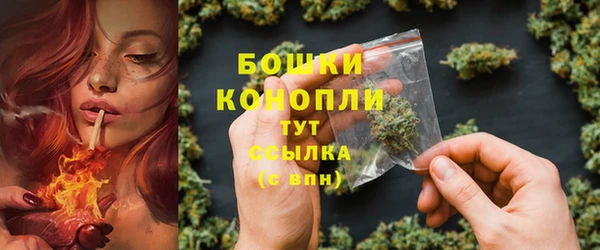 трава Каменногорск