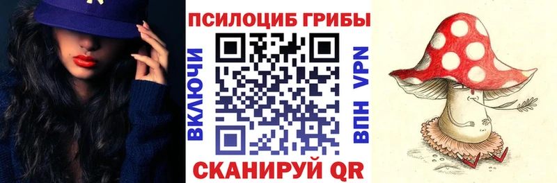 Купить закладки  Зарайск  Псилоцибиновые грибы GOLDEN TEACHER 