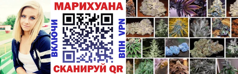 Купить где  Зарайск  Конопля гибрид 